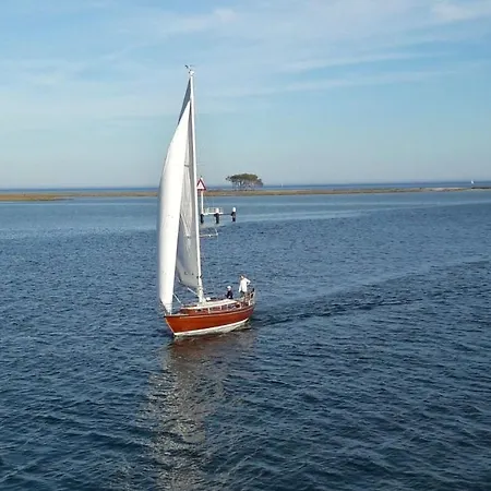 Albatros